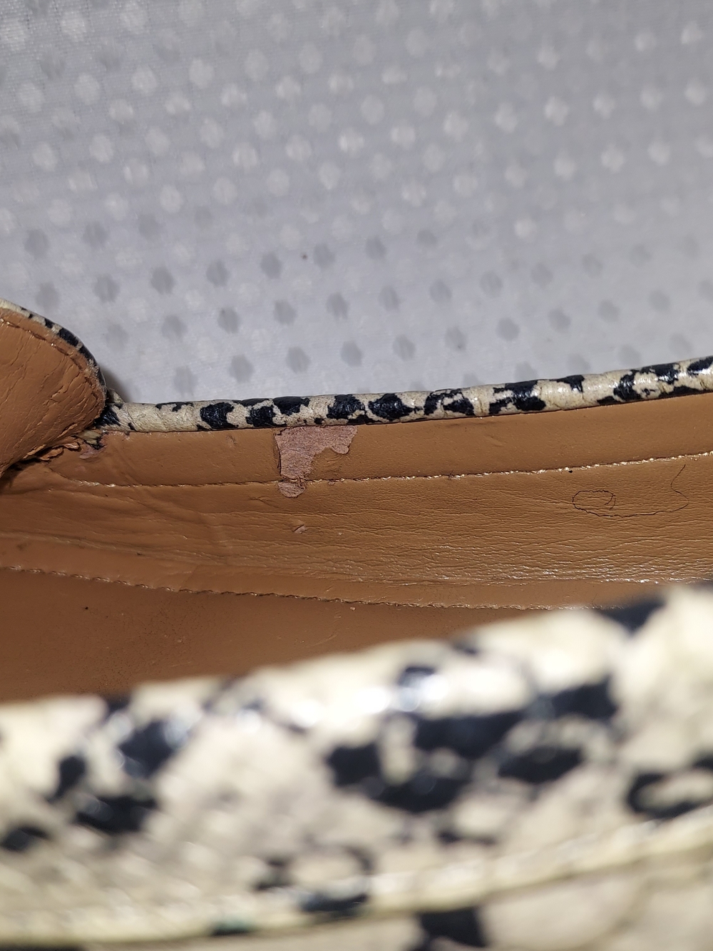 COACH Women's Beige Snake-Print Leather Loafers with Gold Hardware - Picture 9 of 10